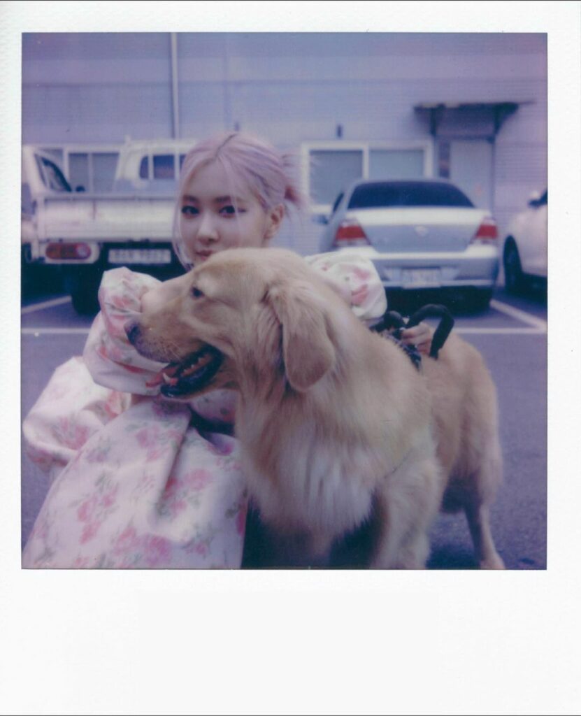 Icecream out now
@selenagomez @blackpinkofficial…