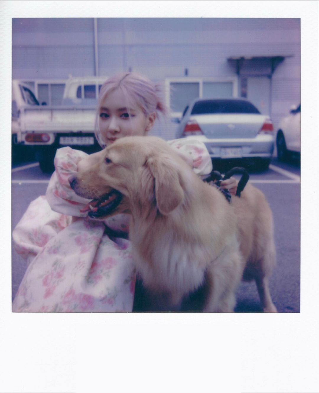 Icecream out now
@selenagomez @blackpinkofficial…