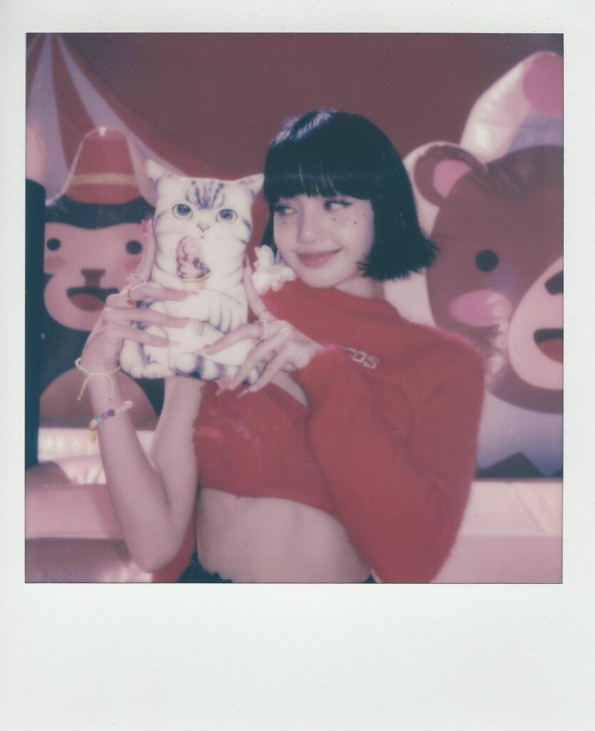 + …