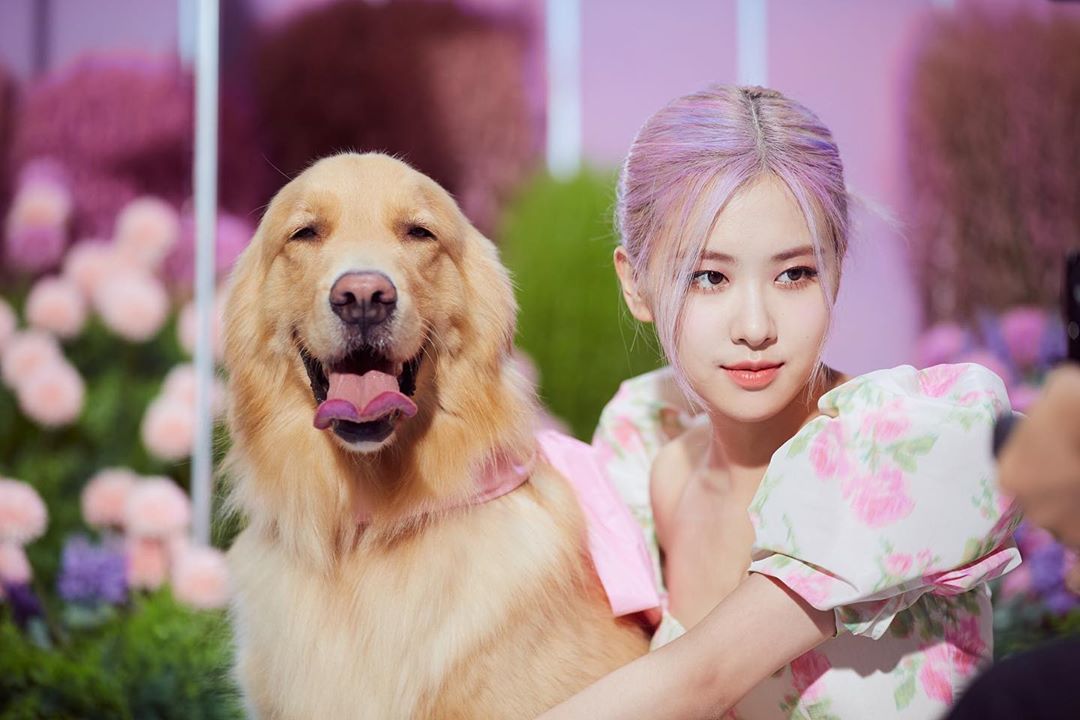 나는야 만쥬…