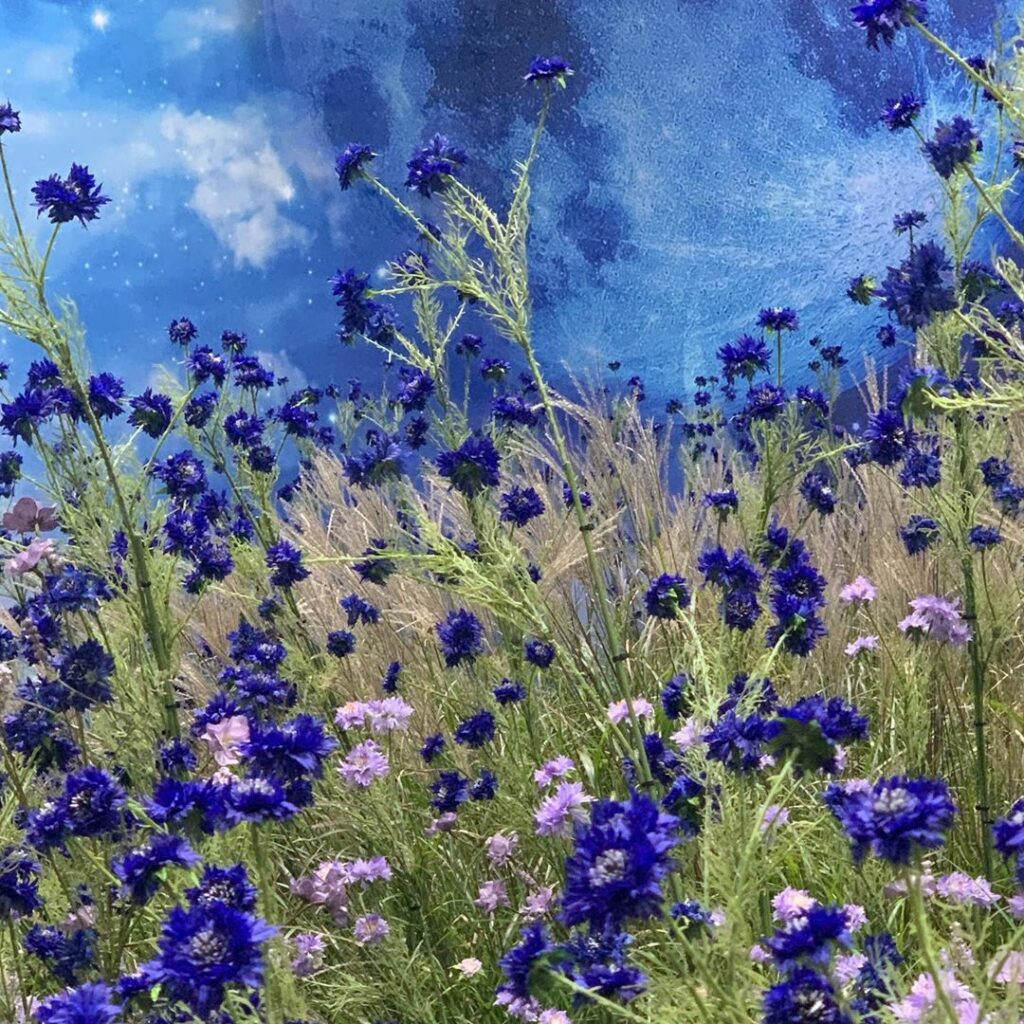 the color blue…