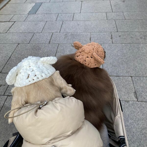 뭐든지 소화하는 우리 멍멍이들…