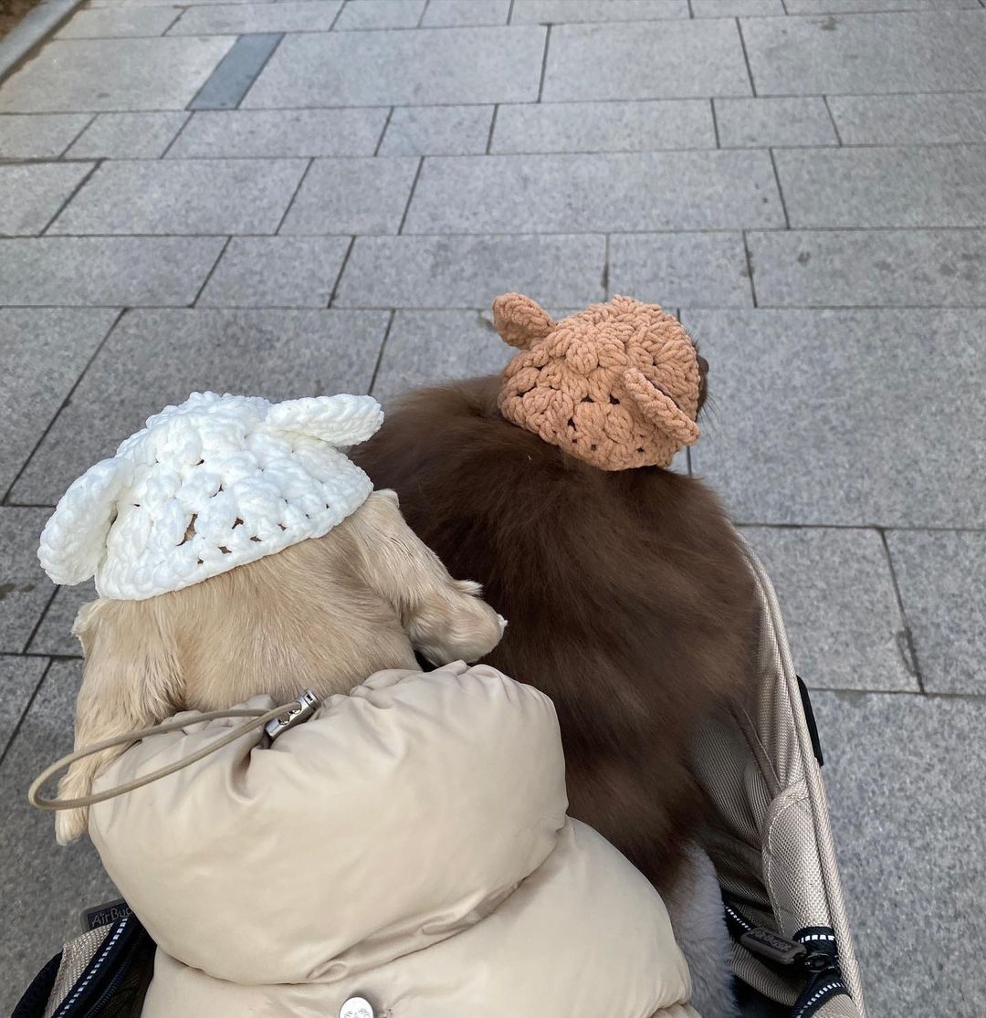 뭐든지 소화하는 우리 멍멍이들…