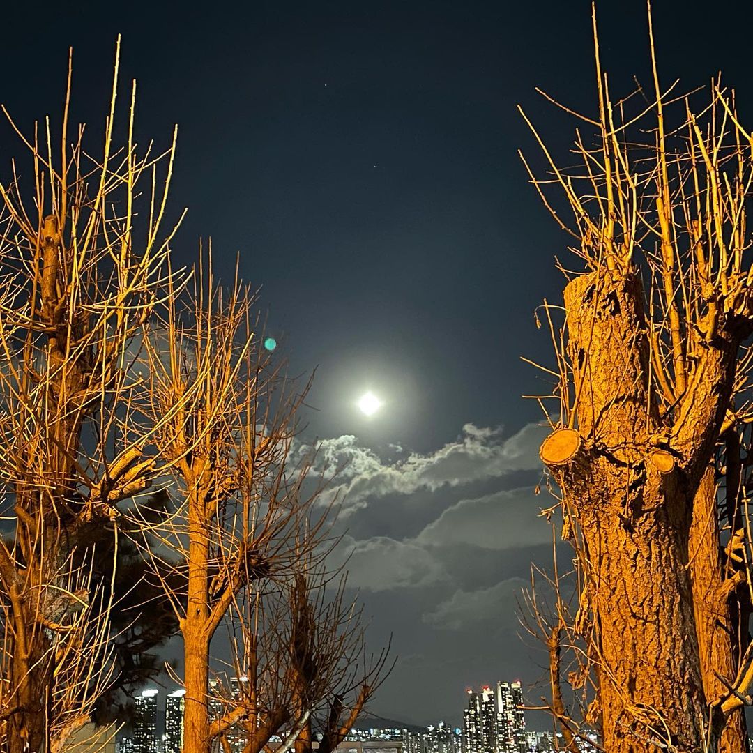 Magical sky with a full moon  갑자기 너무 추워졌네 다들 감기 조심 하세요…