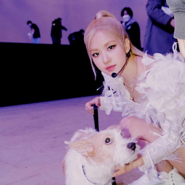 Photo by @khanxyc…