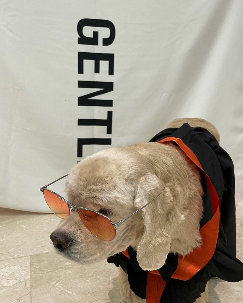 Puppy version #GENTLECAMPAIGN
#GentleMonster 
#GentleMonsterOptical…