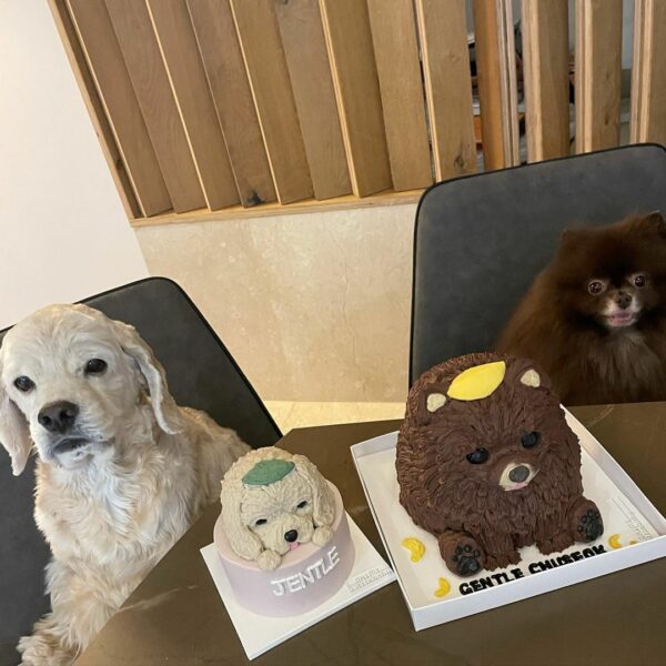 블링크 배부르고 즐거운 추석 연휴 보내요오 …