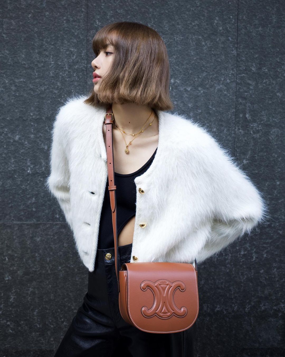 #광고 #CELINECUIRTRIOMPHE #CELINEBYHEDISLIMANE…