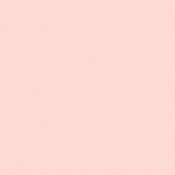#BLACKPINK #블랙핑크 #ROSÉ #로제 #HAPPYBIRTHDAY #20220211 #YG…