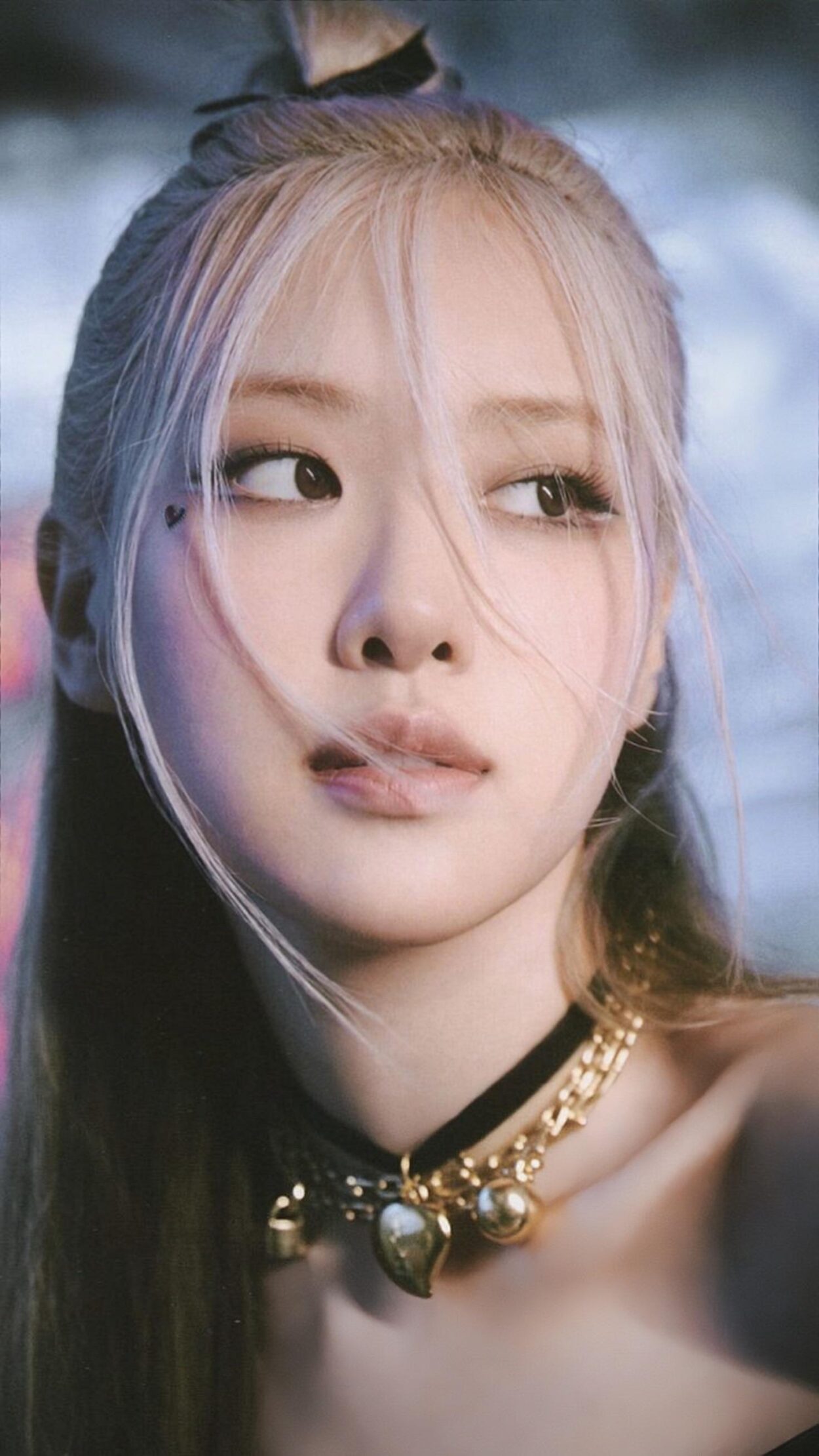 Rosé