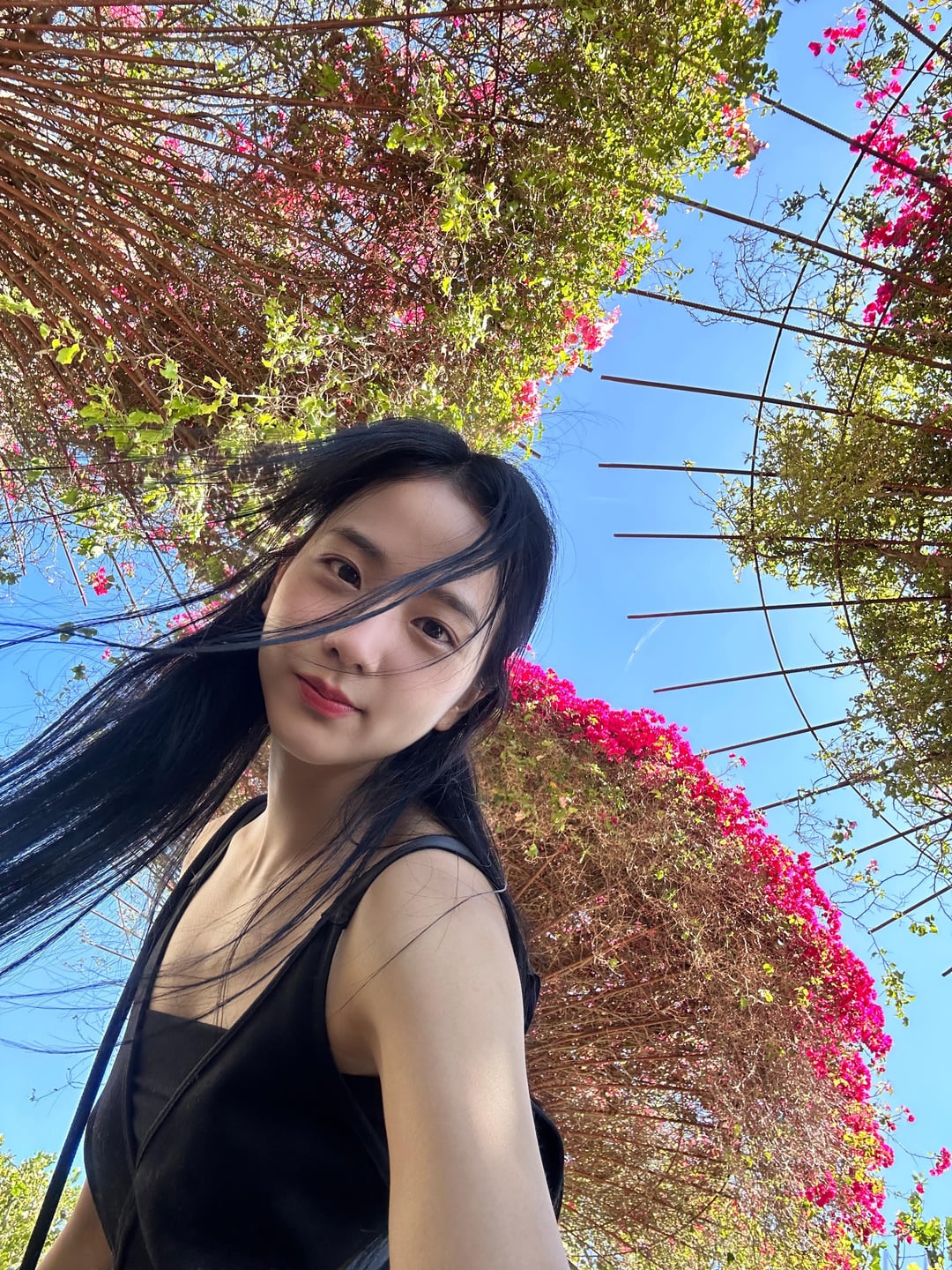 230829 Jisoo Weverse BLINK Membership Update