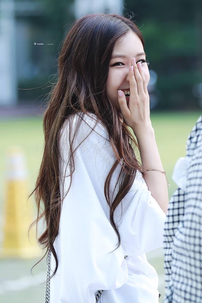 Rosé