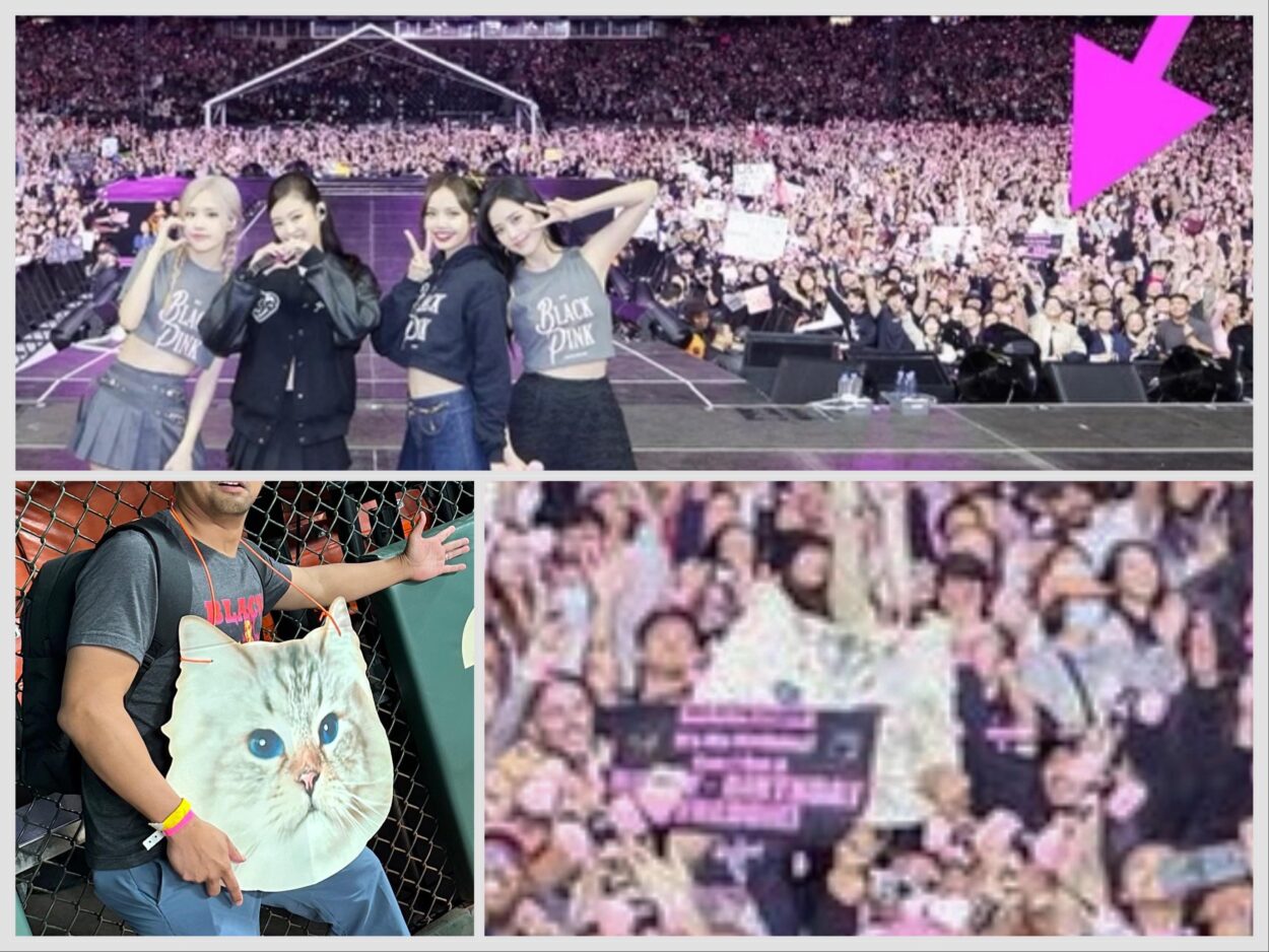 230822 SF show. CatFace made the group pic! 😂😸 This is the cat from the Jisoo Flower MV!