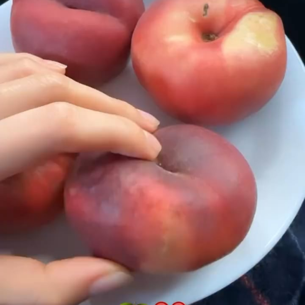 230928 Jisoo IG Story Update