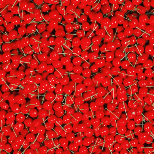 230913 Jennie for Harper’s BAZAAR Korea October 2023 Issue | Coming Soon