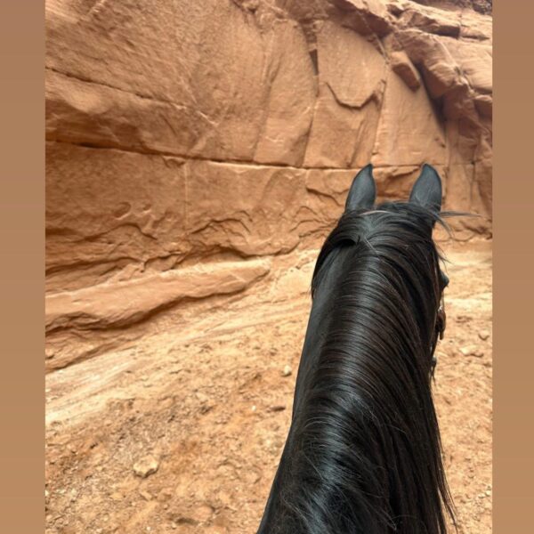 230905 Jennie IG Story Update