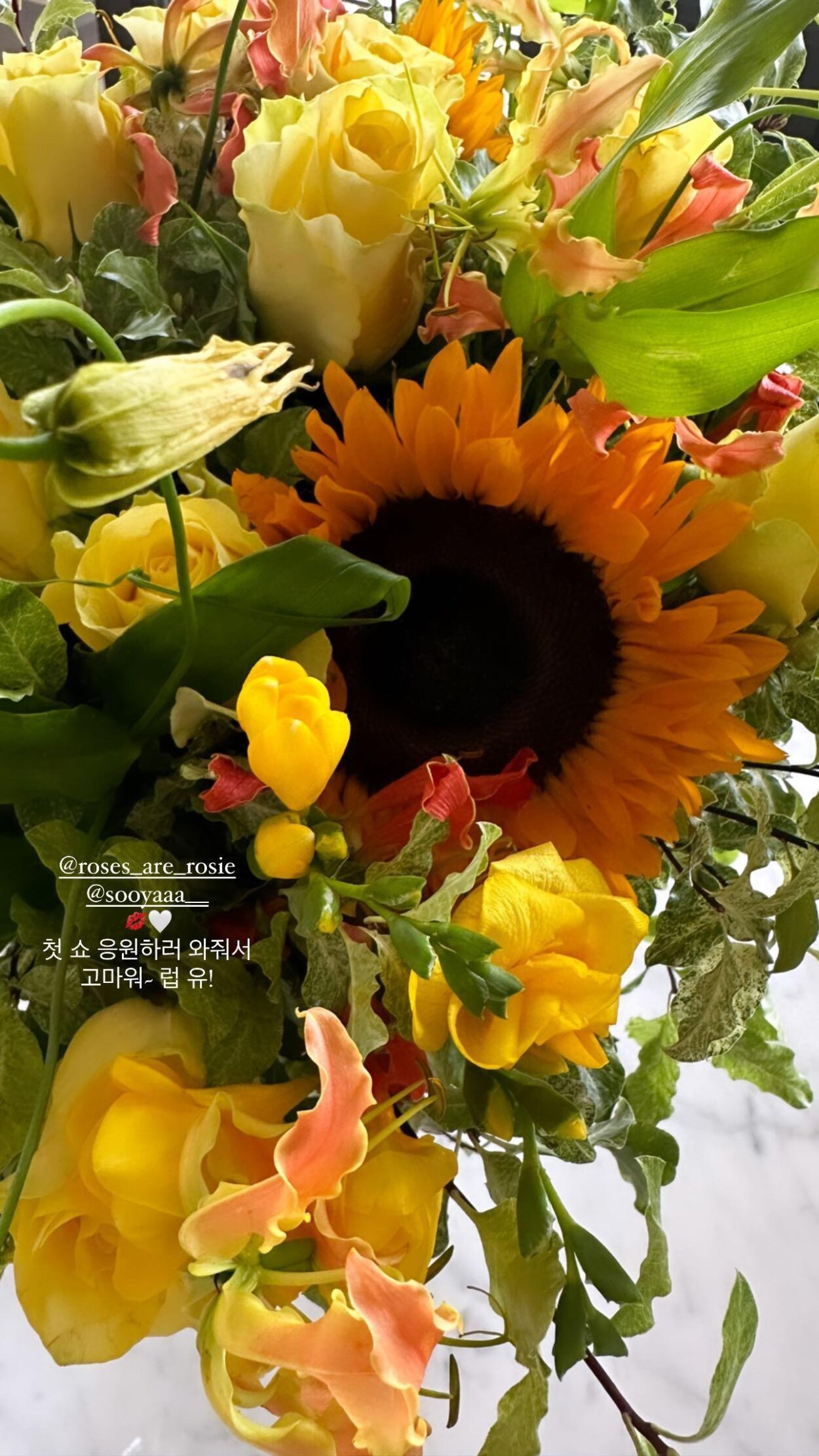 230929 Lisa IG Story Update