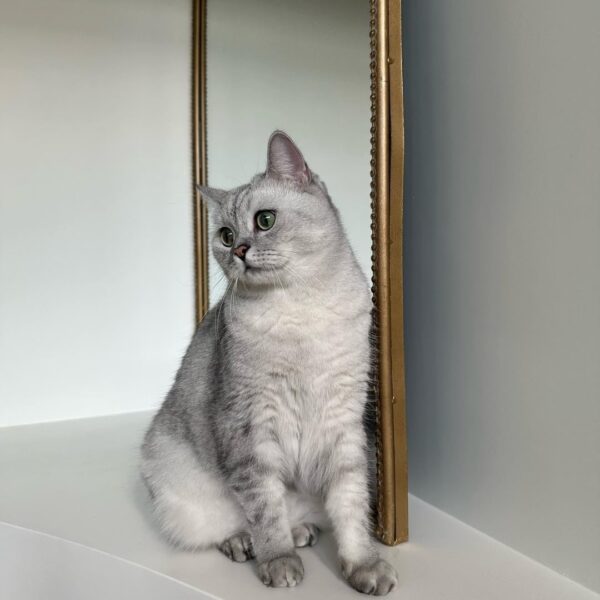 231013 lalala_lfamily IG Update