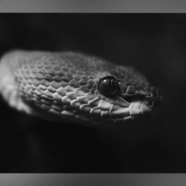 231006 hunterandgatti IG Reels Update w/ Lisa