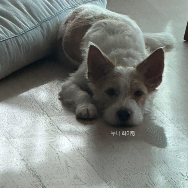 231017 Rosé IG Story Update