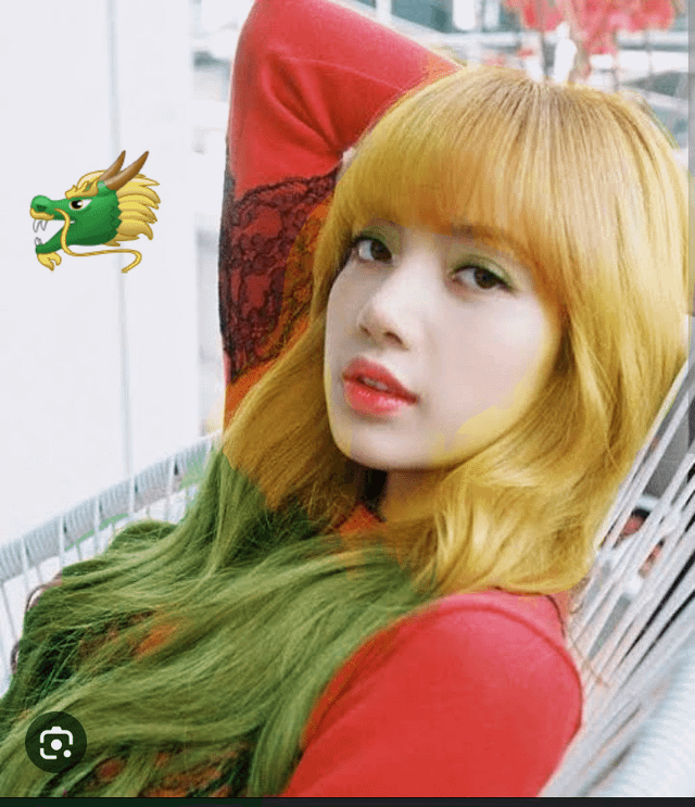 ▪︎Lisa and Jennie▪︎