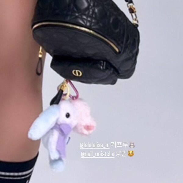 231028 Jisoo IG Story Update