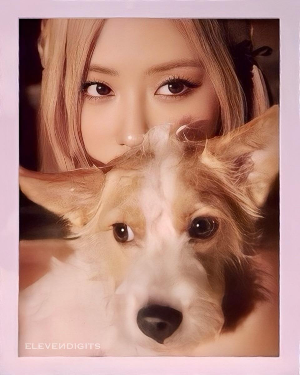 Rosé & Hank
