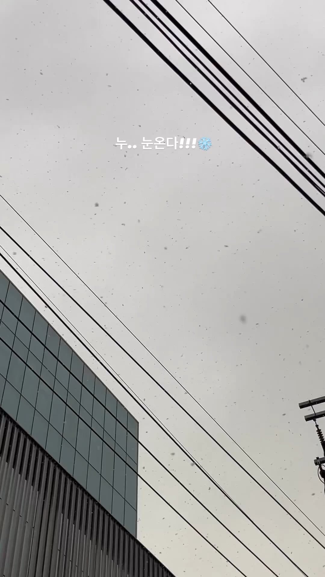 231129 Jisoo IG Story Update