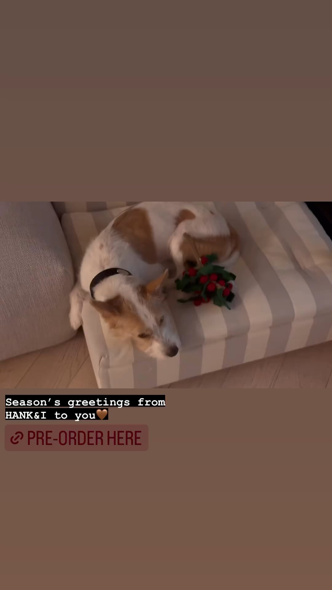 231125 Rosé IG Story Update