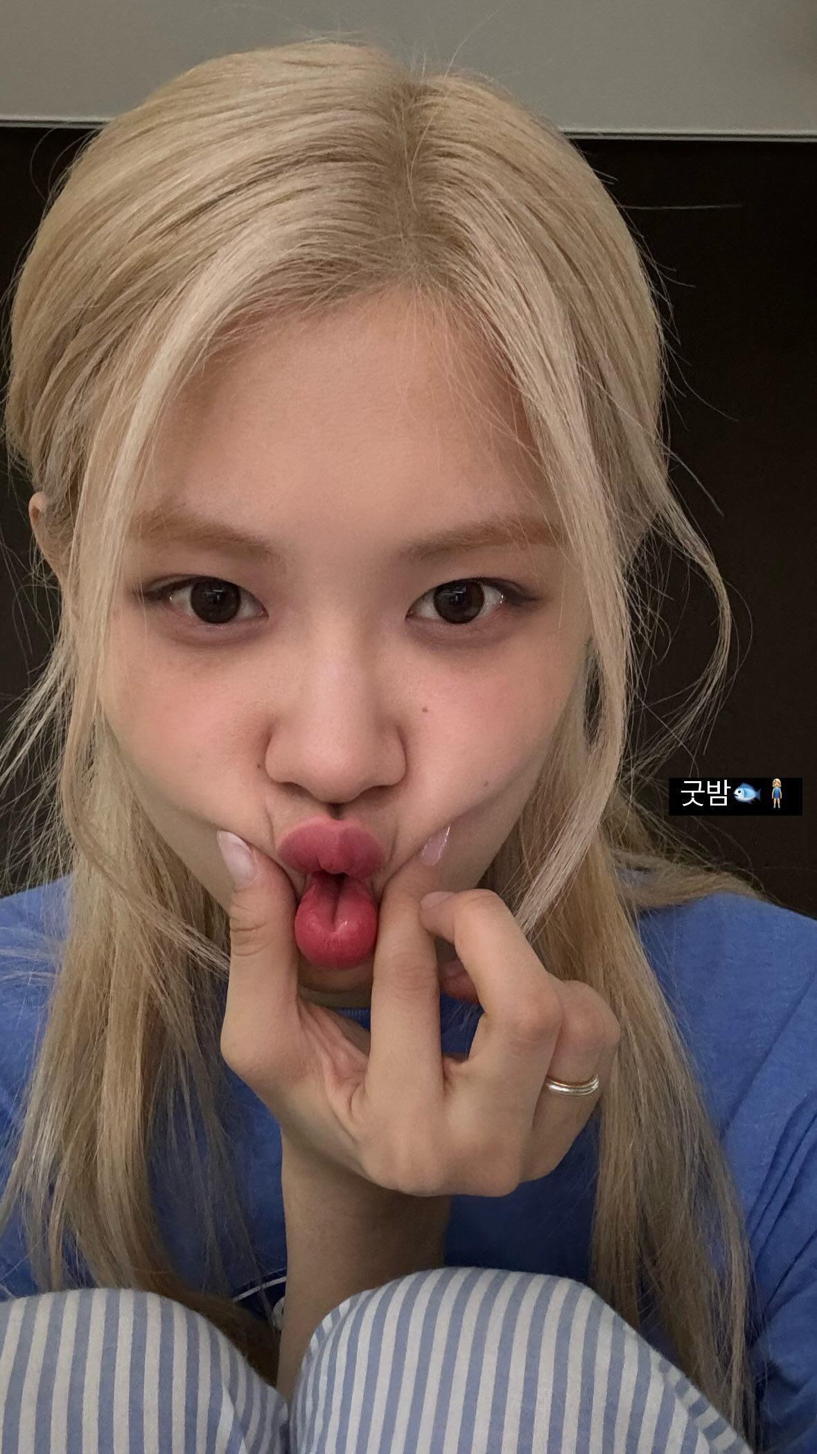 231126 Rosé IG Story Update