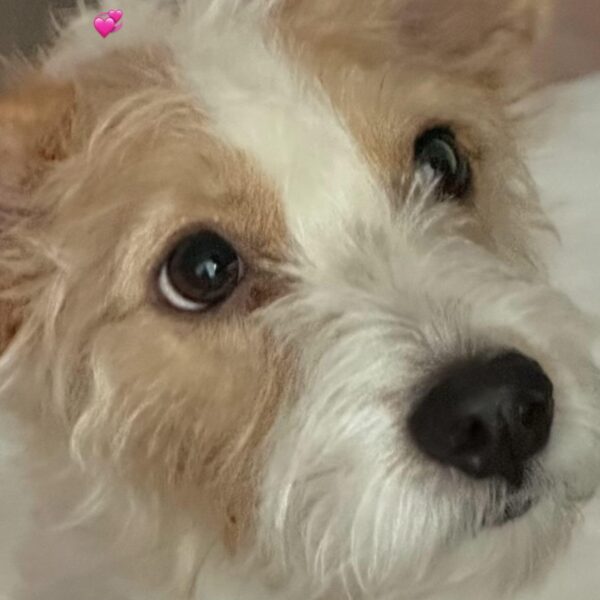 231101 Rosé IG Story Update