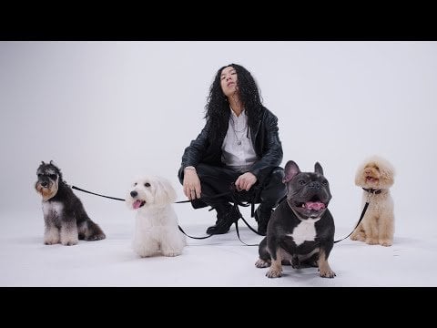 Were BLINKS actually offended by this video?