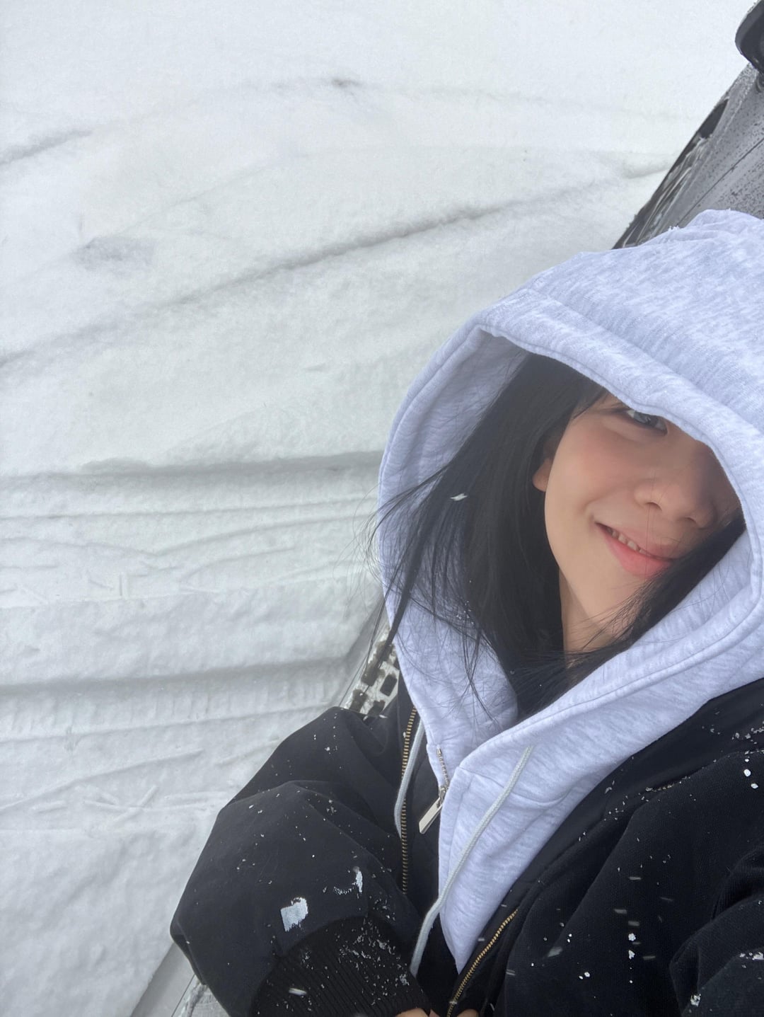 231231 Jisoo Weverse BLINK Membership Update