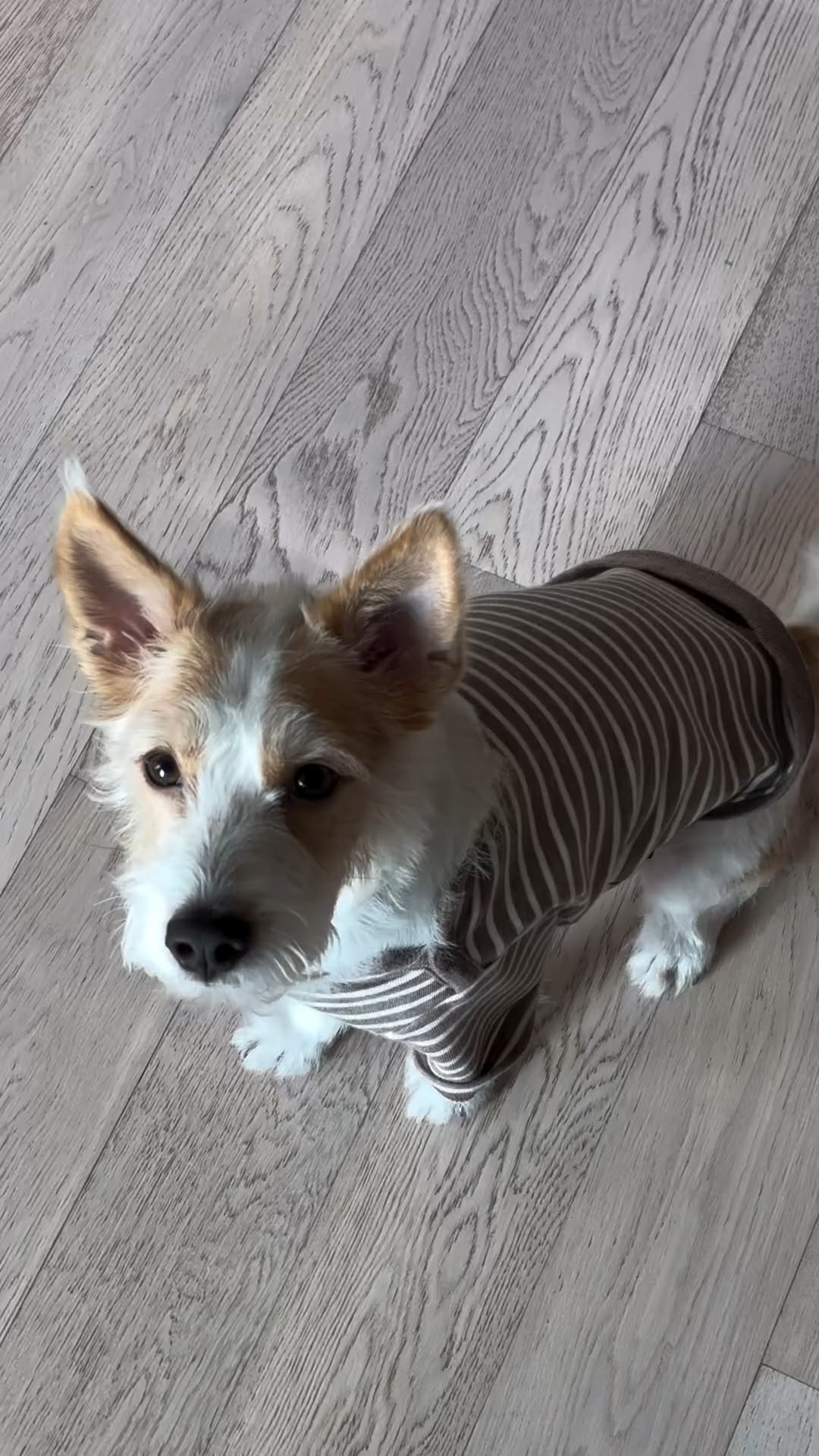 231208 hank_says_hank IG Update