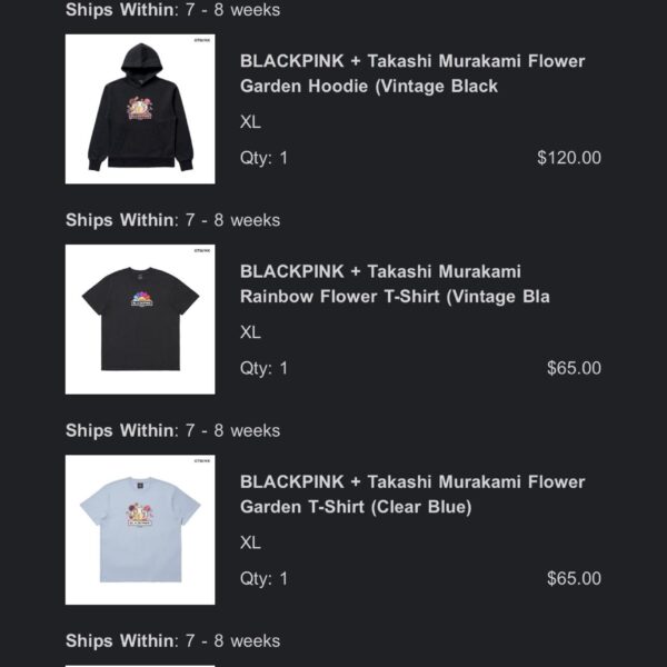 Takashi collab merch