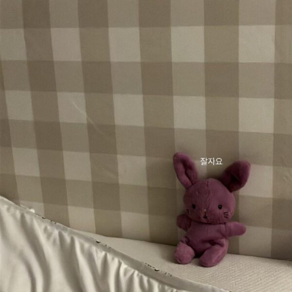 231223 Jisoo IG Story Update