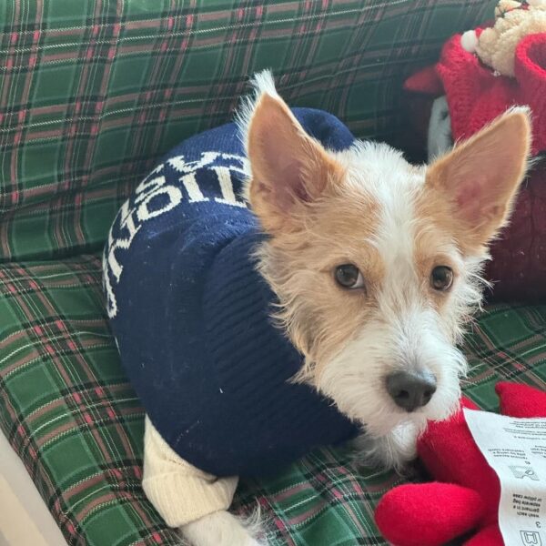 231208 hank_says_hank IG Update