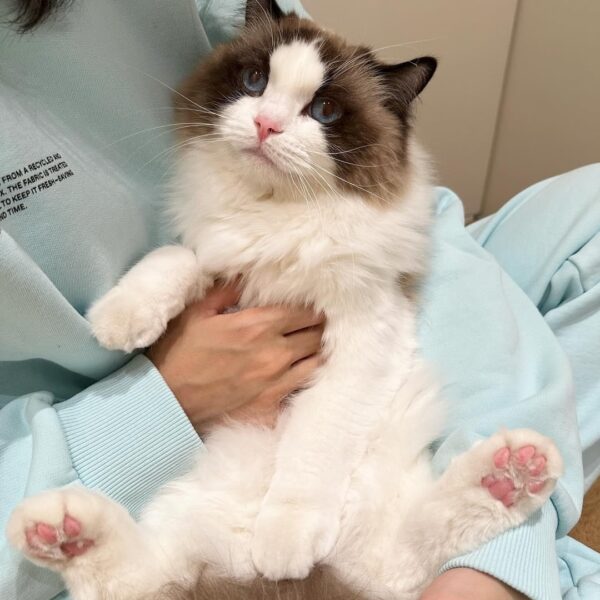 240113 jennie.mingus IG Update w/ Lisa