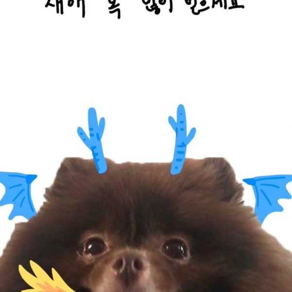 240101 Jennie IG Story Update