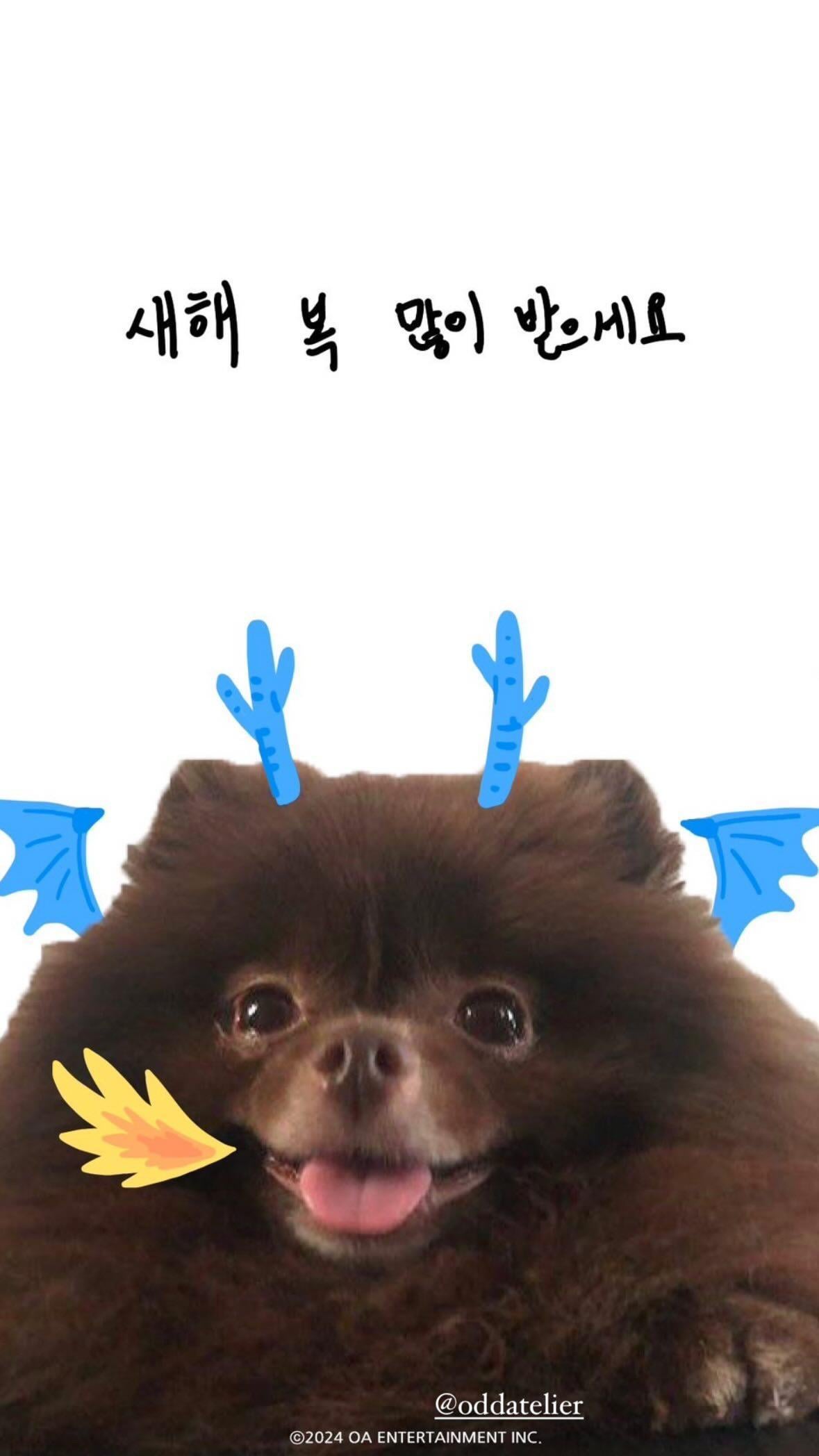 240101 Jennie IG Story Update