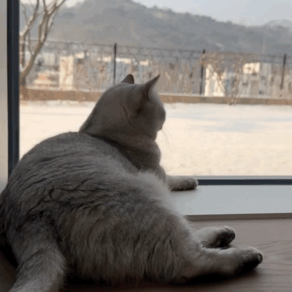 240110 Lisa IG Story Update