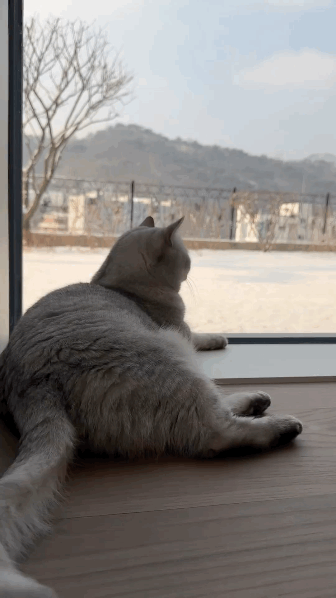 240110 Lisa IG Story Update