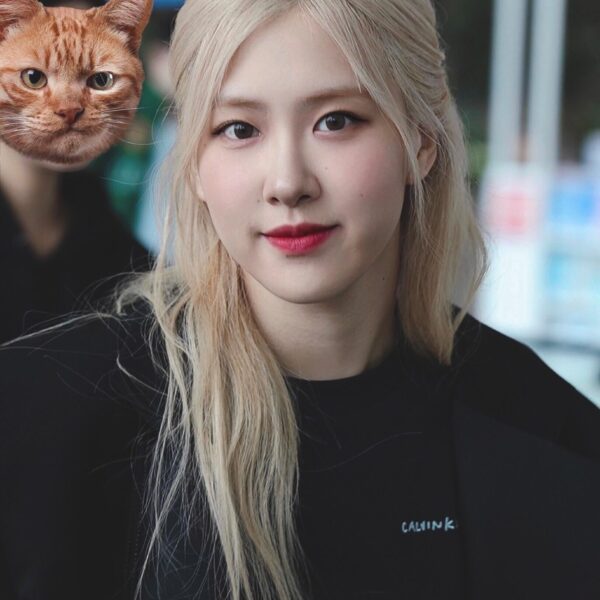 230923 Rosé