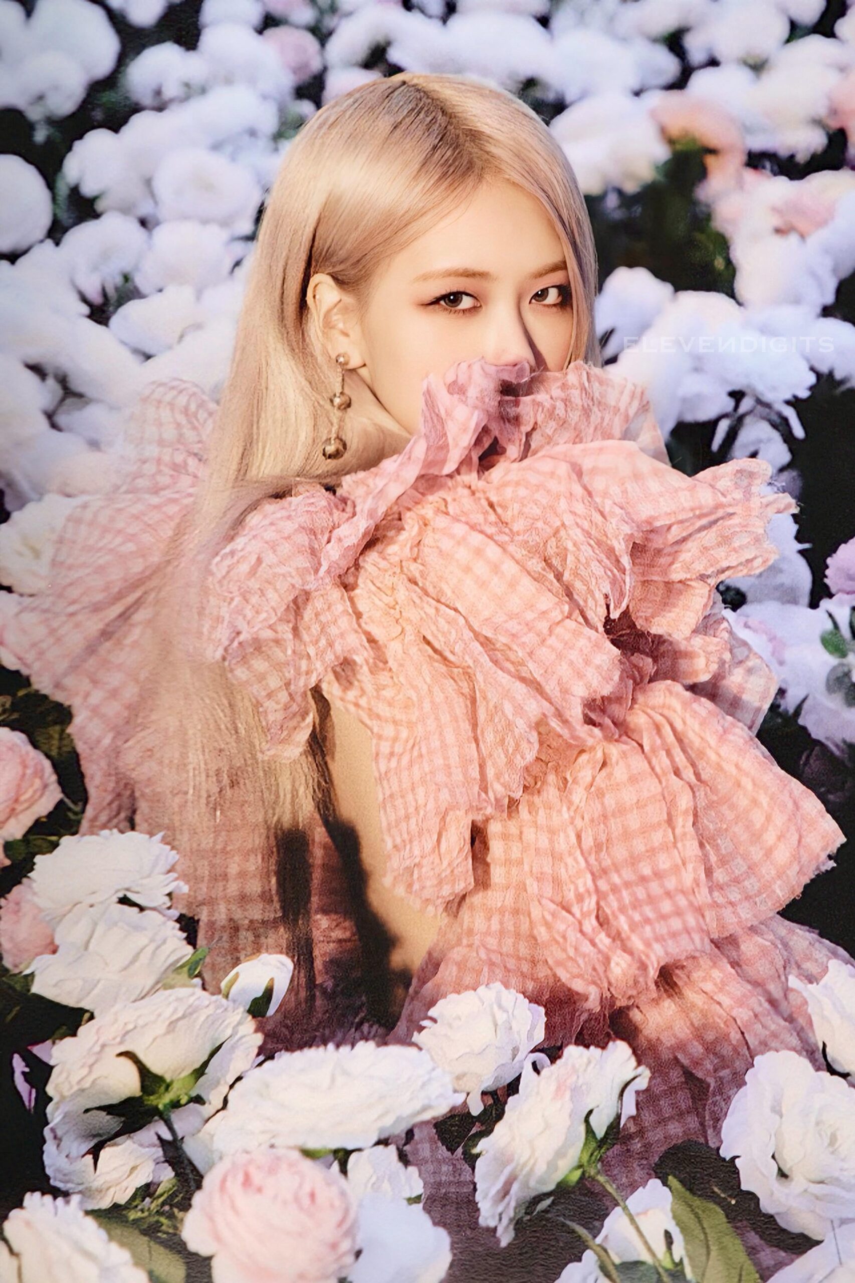Rosé