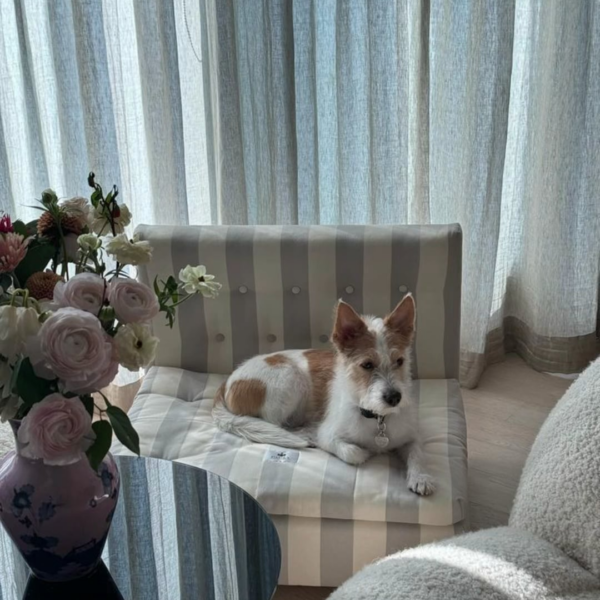 240217 Rosé IG Channel Update