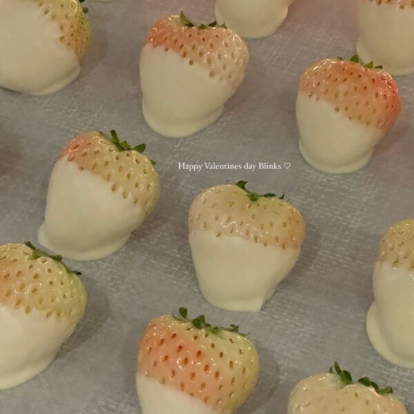 240214 Rosé IG Story Update