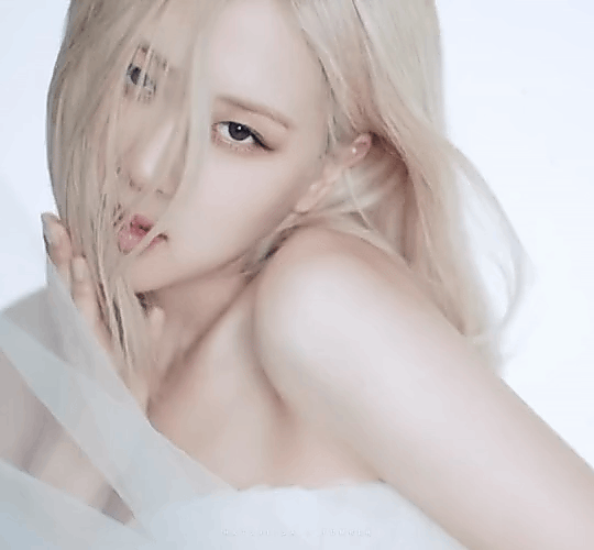 Rosé