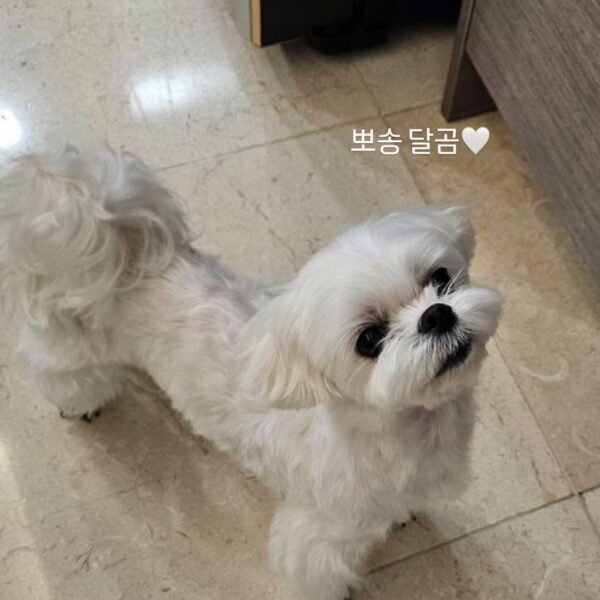 240306 Jisoo IG Story Update