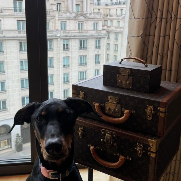 240306 Lisa IG Story Update