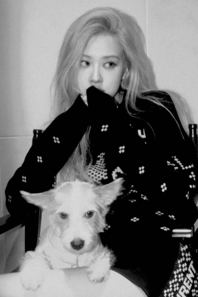 Rosé